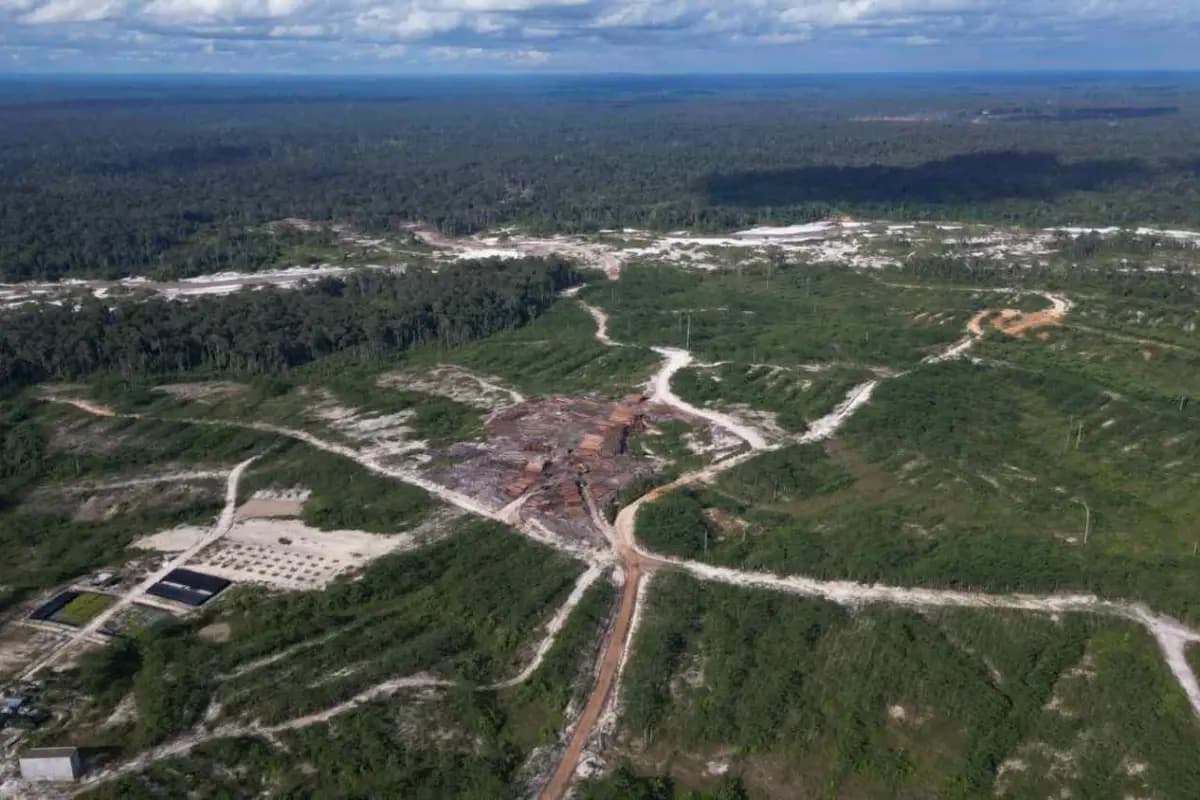 Terungkap, Deforestasi 26.608 Hektare Hantui DAS Kapuas Kalimantan Tengah