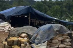 Bupati Murung Raya Kalteng Ungkap Alasan Praktik PETI Masih Marak Terjadi